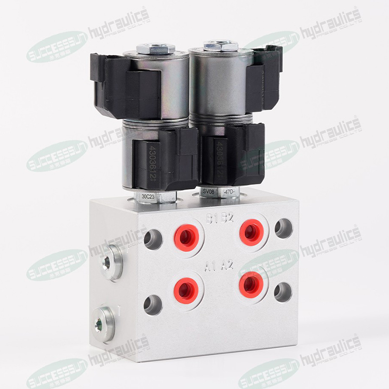 Двойной блок клапанов платформы.4